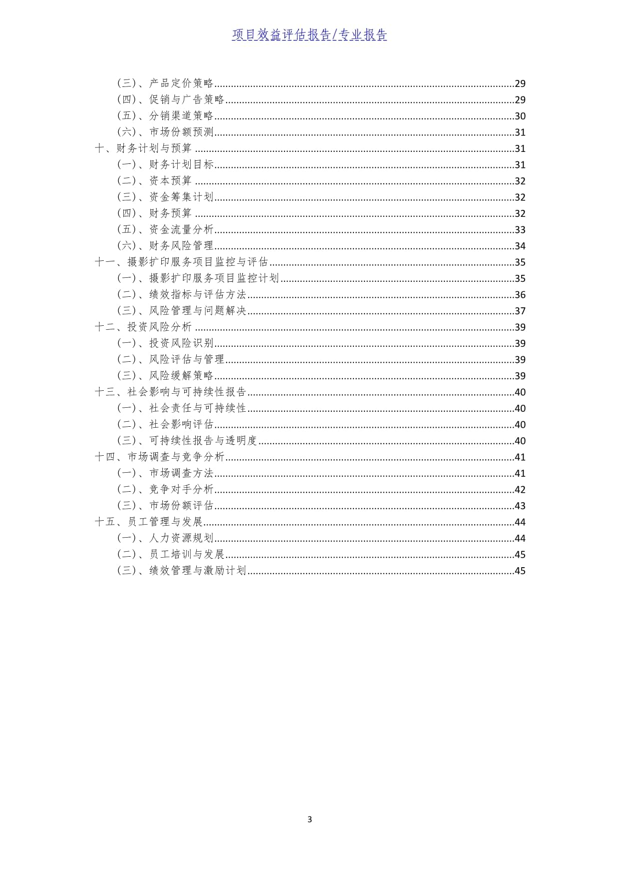 2025年摄影扩印服务项目效益评估报告