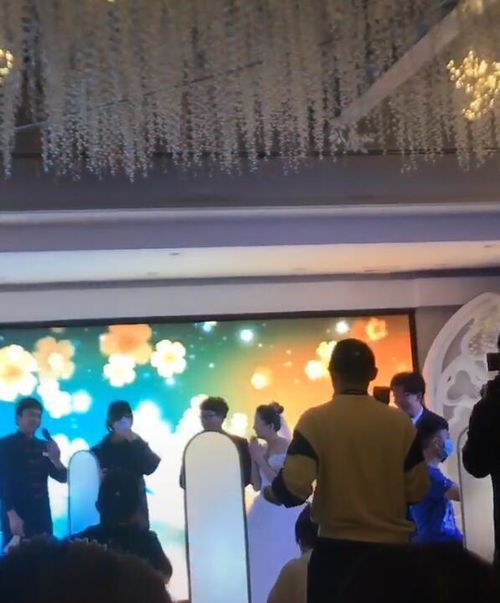 鹿晗充当摄影师参加婚礼,邓超扮服务员卖力跳舞,嗨翻全场