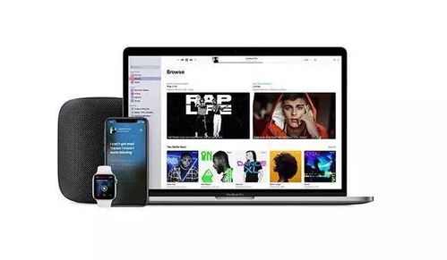 过度竞争下的新定位生存策略