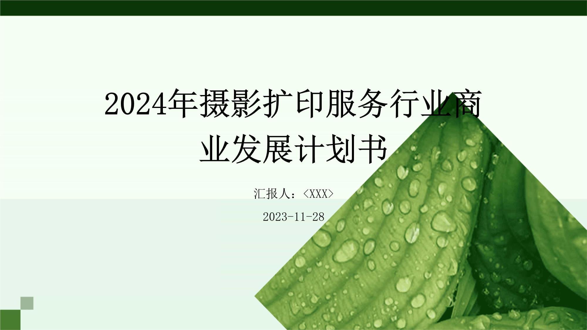 摄影扩印服务行业商业发展计划书