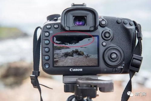 最容易忽略的三个方法,更好的服务你的摄影 第二百一十八讲