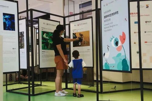 神奇生物在哪里 就在sigs展厅里