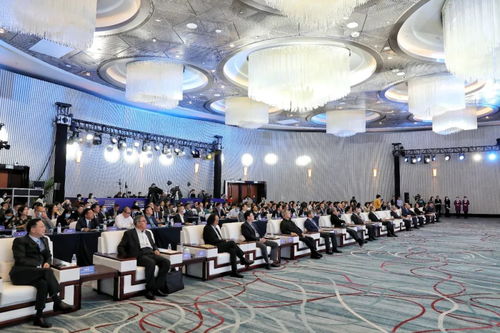 一批重磅项目签约,设立50亿元规模基金 金色中环发展带 吸引世界目光