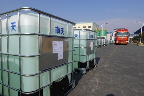 微山 渔船检验实行上门服务