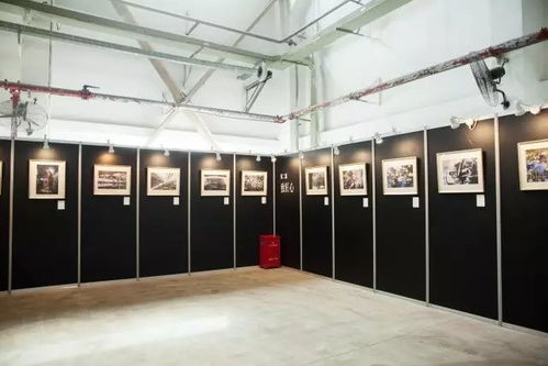 多彩十年 才华尽显┃福建奔驰职工首届摄影 书画及手工艺品展暨摄影协会 奔驰映像 授牌仪式