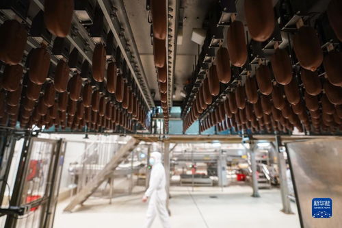 当冰淇淋遇到 智能制造 探访日产900万支冰淇淋的 灯塔工厂
