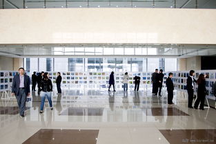 铁岭市启动 爱鸟周 野生鸟类摄影展览