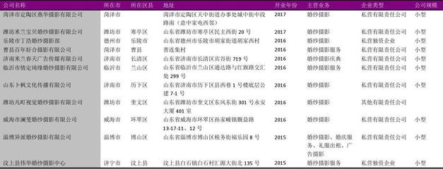 山东省摄影扩印服务行业企业名录2018版1317家