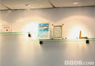 艺风教育协会提供灯光摄影课程,数码摄影课程,人像摄影课程等服务