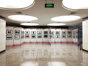 光影翰墨颂华章：河南邮政喜迎国庆暨改革开放40年、独立运营20年文化艺术展