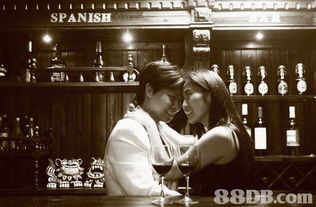 宠物咖啡馆摄影优惠攻略 一站式捕捉萌宠温馨瞬间