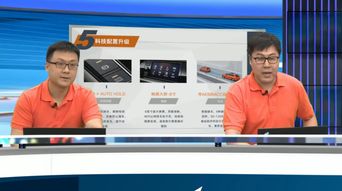 全新一代朗逸两厢惊艳上市 新车销售与专业摄影扩印服务如何完美结合