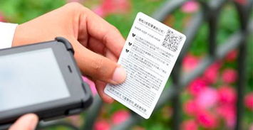 迪士尼城堡前的完美瞬间，即刻留影服务